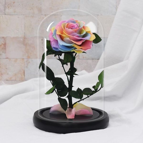 

eternal flower big rose real multicolored rose immortal valentine's day mother's day birthday gift