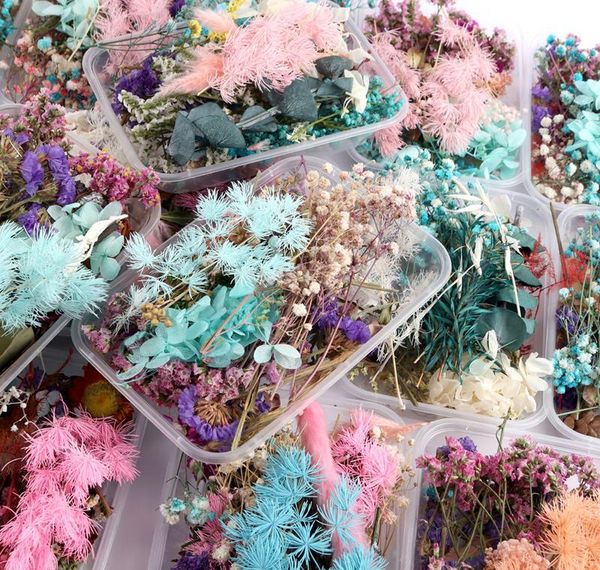 

real dried flower dry plants for aromatherapy candle epoxy resin pendant necklace jewelry making dried flower nail decoration wmttict