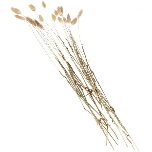 

20 stems dried flower tail natural plants floral grass bouquet home decoration accessories p1