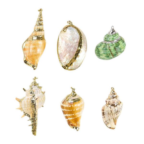 

5pcs natural conch seashell ornaments for pendant shells charms necklace pendant diy shells for jewelry making accessories h jllwyq