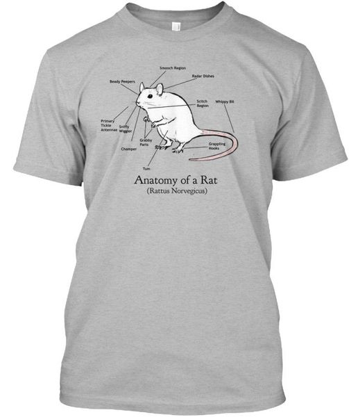 

anatomy of a rat (rattus norvegicus) mens 2018 summer men short sleeves t shirt funny tee shirts 016339 sport hooded sweatshirt hoodie
