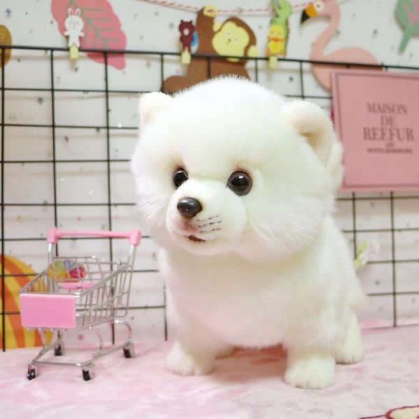 

white cute imitation plush toy bomei dog doll pillow children's gift girl