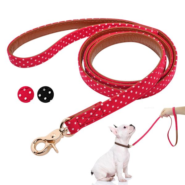 

belt, cat and dog belt