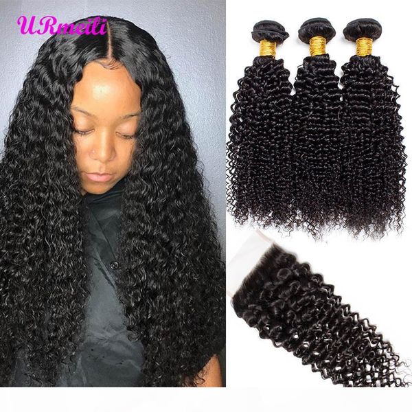 

kinky curly virgin human hair with closure raw malaysian virgin hair 3 or 4 bundles with closure dhgate 10a grade remy human hair, Black;brown