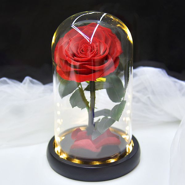 A flor eterna aumentou na capa de vidro Caixa de presente preservada da flor imortal do dia de Valentim do dia do dia dos namorados Decoração do desktop