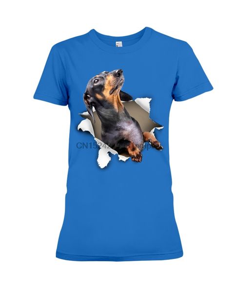 

sport men t shirt dachshund - torn(16) women tshirts