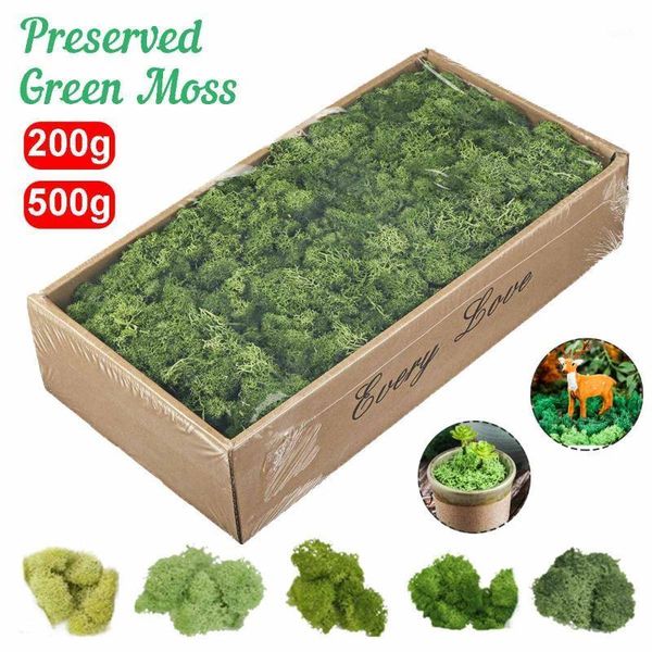 

500g/200g simulation plants eternal life moss / garden home decor wall diy flower material mini garden micro landscape fake moss1