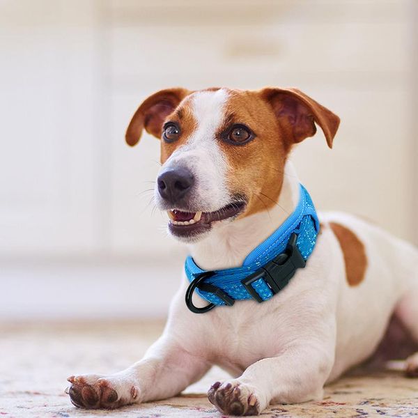 

soft padded dog collar thick wide pet dog collars adjustable for medium large dogs beagle pug pink black bl wmtdmn