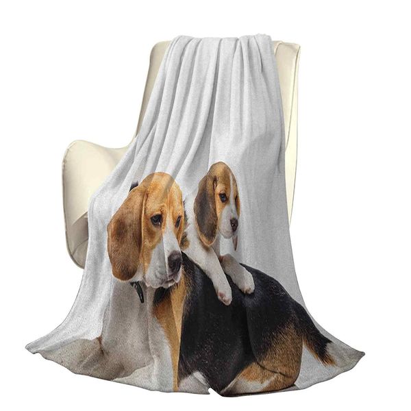 

cute family with mother and baby puppy domestic fur animal pgraphyoffice leisure blankets