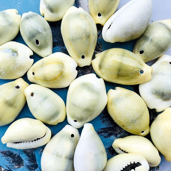 

20pcs 24 30mm natural shell conch beads decor sea shells diy jewelry accessories handmade necklace shells for jewelry making h jllsua