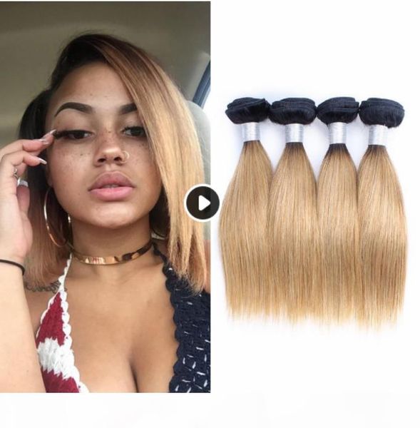 

ombre human hair bundle 1b 27 ombre human hair bundle, Black