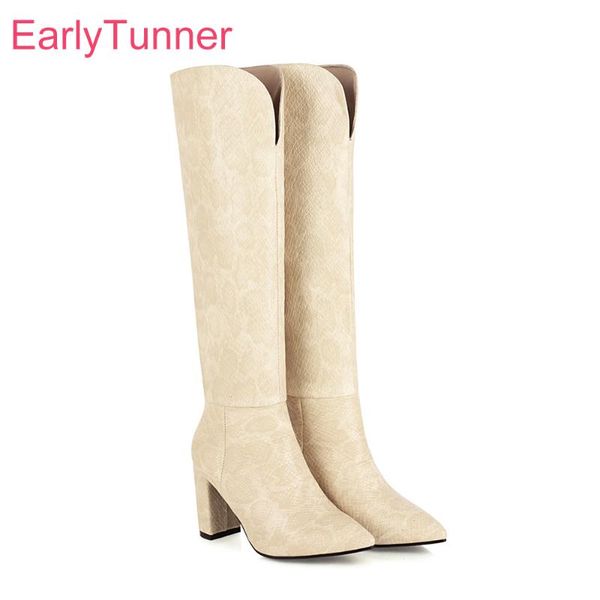 

2020 winter brand new elegant beige pink women knee high boots high sqaure heels lady dress shoes big size 11 43 45 48, Black