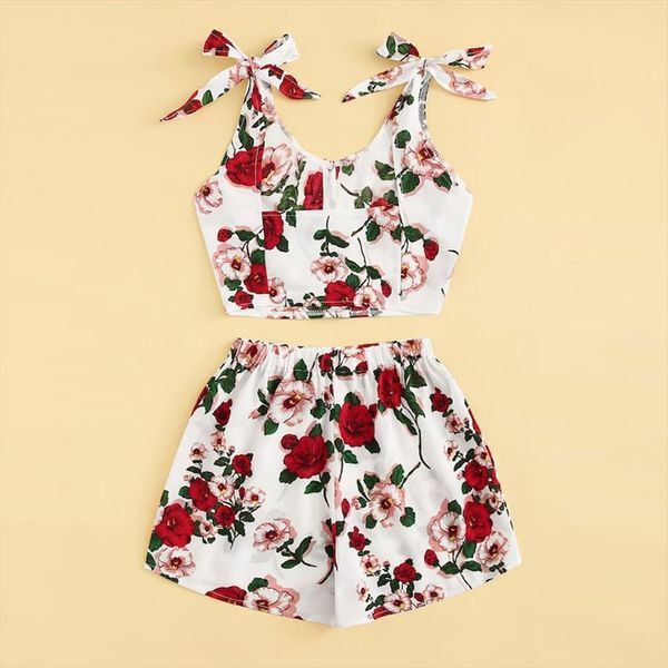 

2019 повседневный 2pcs лета женщин одежда набор вышитые цветочный vest crop top шорты брюки женщин lady одежда наборы ad, Gray