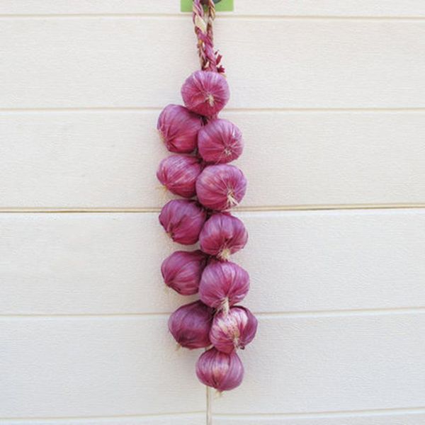 

plastic faux fruit artificial string garlic fake house kitchen party office1