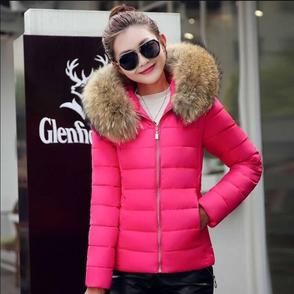 

chaud hiver veste chaud bien coton veste cheveux capuche vestes femmes manteaux slim fermeture clair vtements de sortie d'hi 201110, Black