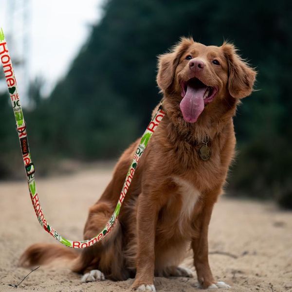 

nylon dog leash lead printed pet walking running training dog leashes rope for small medium large dogs durable bbyevh