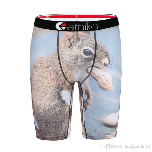 

ethika men's staple underwear squirrel sports hip hop rock excise underwear skateboard street fashion streched legging quick dry5463, Black;white
