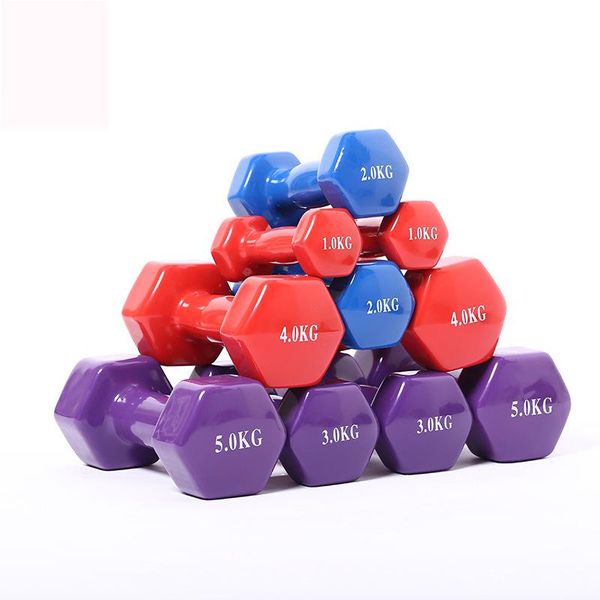 

dumbbells 2pcs dip dumbbell 2kg 3kg 4kg 5kg fitness equipment multi-functional family yoga 1 pair