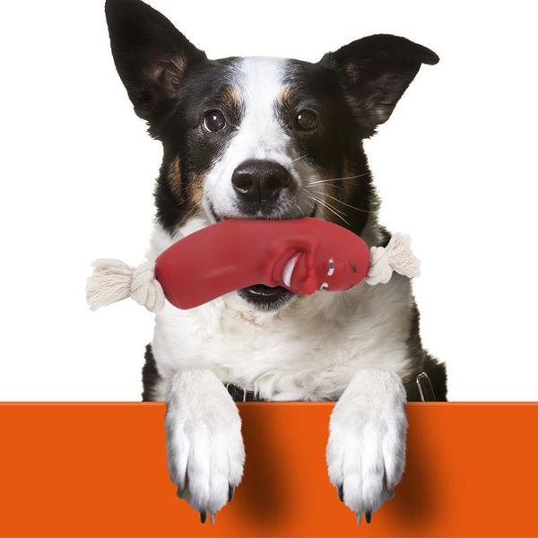 

pet игрушки собаки для домашних животных укус игрушки для собак cite творческое моделирование hot dog toy chew писк нетоксичных молярная игр