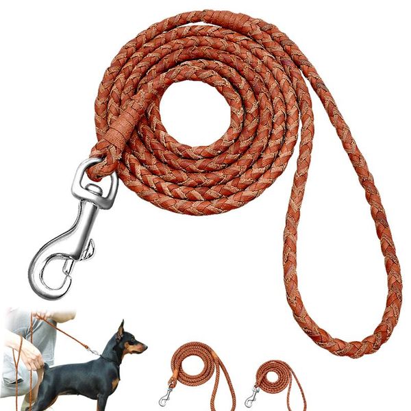 

dog leash rolled round leather braided lead leashes for small medium dogs walking running traini bbyznx