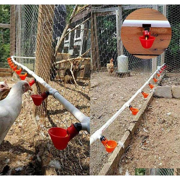 

10pcs 20pcs 40pcs poultry water drinking cups plastic poultry chi qylirf dh_seller2010