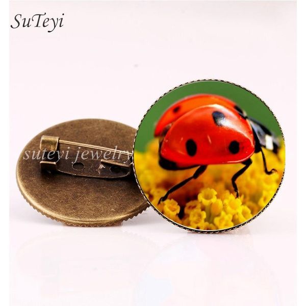 

suteyi glass quality brooch pins for lovely insect pattern cabochon handmade ladybug friend unique beetle jewelry high bbyrad bdehome, Gray