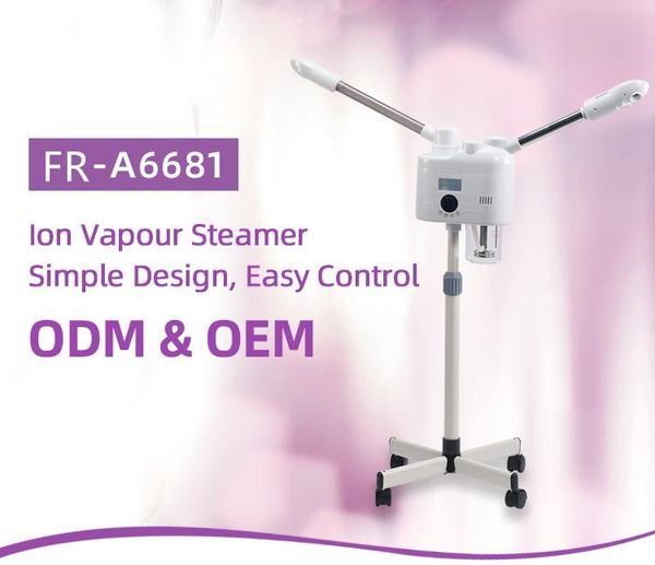 

most of 2020 2 handle and cold facial steamer machine