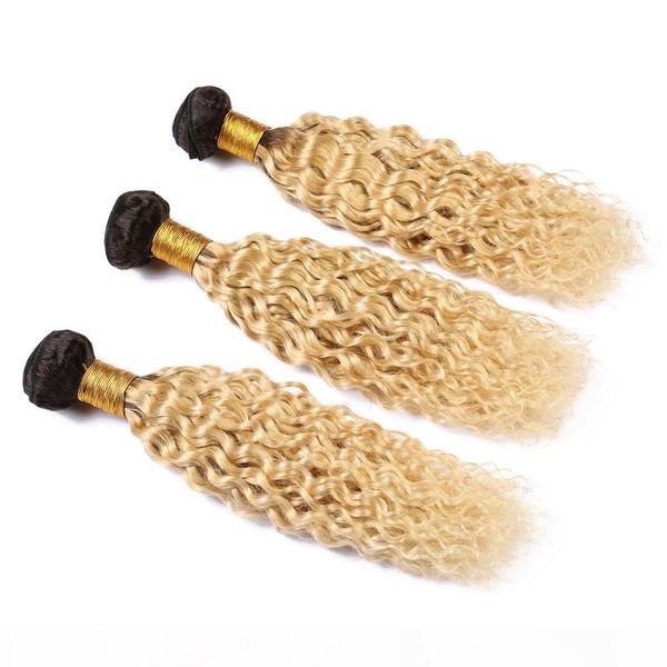 

malaysian wet and wavy blonde ombre weaves human hair 3 bundle deals #1b 613 ombre bundles water wave dark roots virgin hair extensions, Black;brown