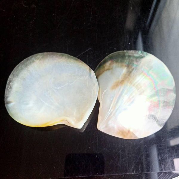 

90 100mm colorful sea shells mediterranean shells natural beach home decor shells for jewelry making ocean wedding decorations h bbyqux