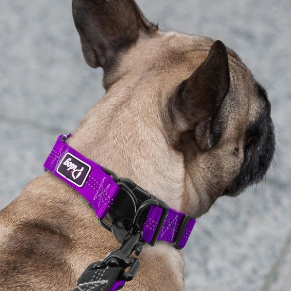

dog collar perro nylon reflective pet puppy collars safety adjustable for small medium large dogs pitbull german shephe wmtgsu