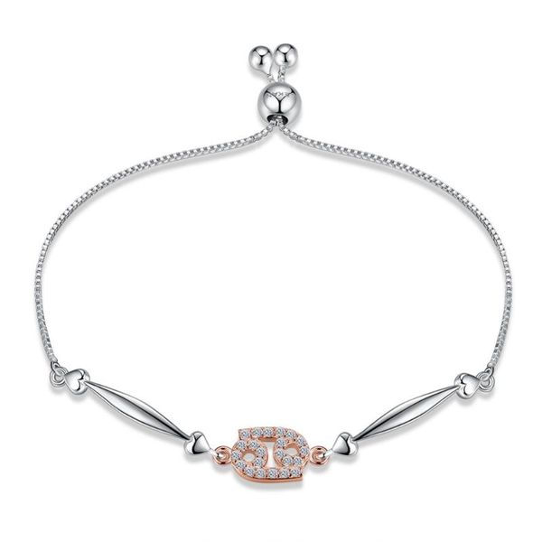 

charm bracelets 40% off 925 sterling silver color different type women jewelry party twelve constellations adjustable, Golden;silver
