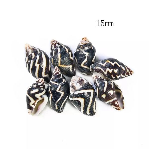 

20pcs zebra ripple conch shells natural mini conch stripe seashell aquarium landscape decor accessories diy drifting bottle h jllnjh