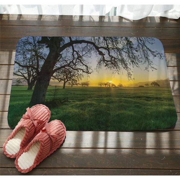 

landscape floor mats tree waterfall mountain forest printed bathroom kitchen carpets doormats floor mat tapete f bbyfbk