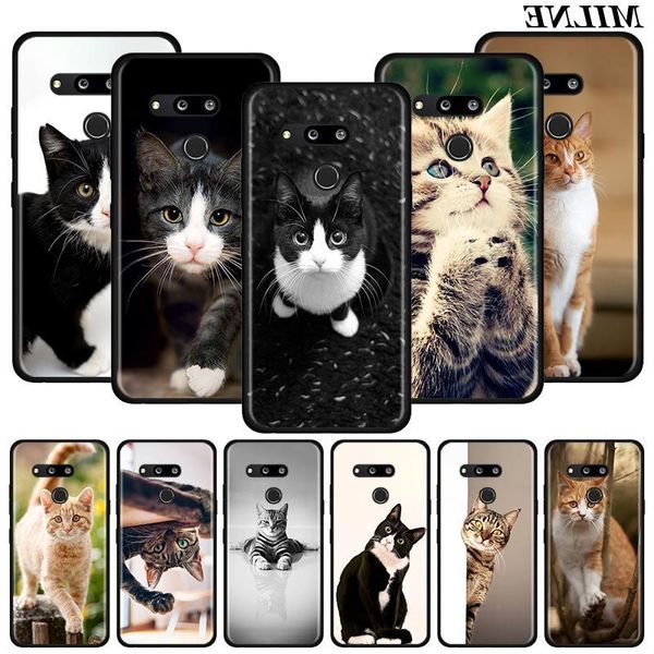 

silicone phone case for lg k40 k40s k41s k50s k51s k61 g6 g7 g8 q51 q60 q61 q70 back shell cover coque cute cat