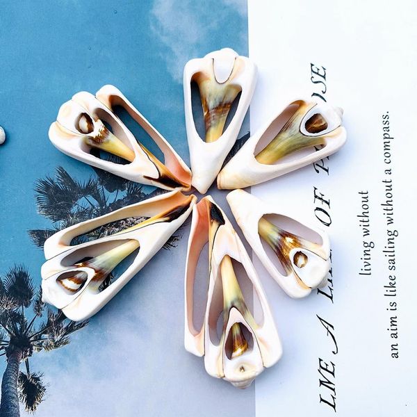 

5 шт. 42 61 мм натуральный оболочкой conch decor diy ювелирные изделия подвески аксессуары образец домашние украшения ракушки для ювелирных