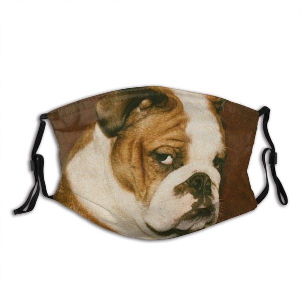 

funny english bulldog face mask with pocket washable face bandanas balaclava reusable fabric mask with 2 pcs filter