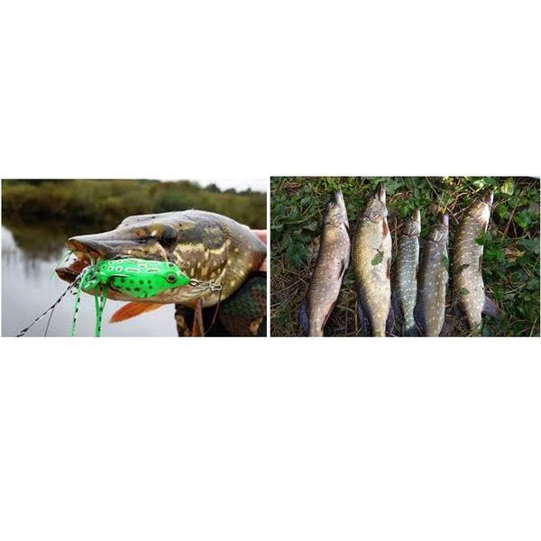 

15pcs/lot frog soft fishing lures double hooks 6g 13g 15g water ray frog artificial minnow crank soft bait fishin jllcsw