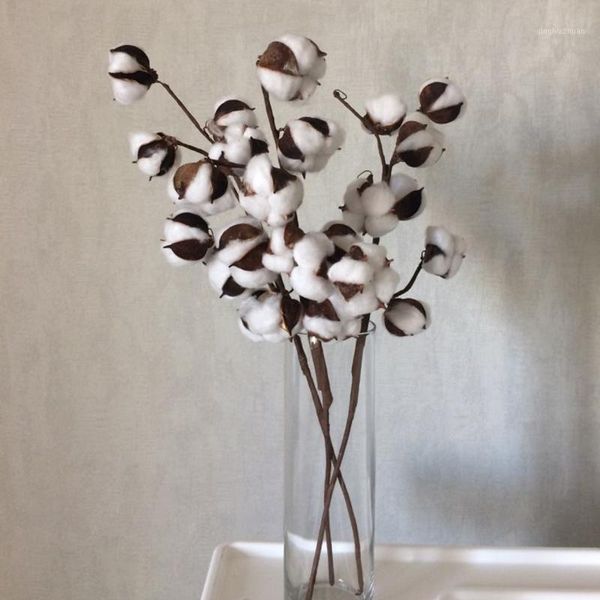 

10pcs natural dried cotton dry flower artificial plants cotton head diy flowers for wedding decorations christmas tree hanging1