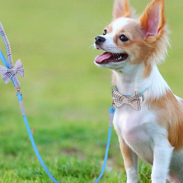

nylon dog collar and leash set adjustable dog collar with cute plaid bow tie for small medium dogs pet accessories p bbylbe