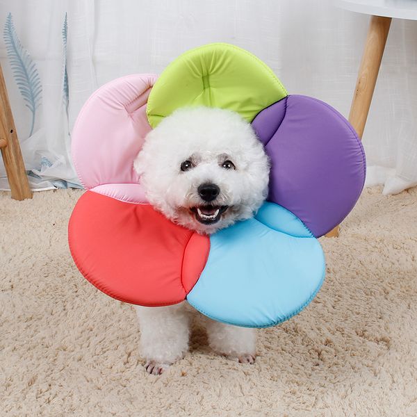 

pet supplies pet dog cat elizabeth collar for wound healing anti-scratching anti-bite pet protective with rainbow collar