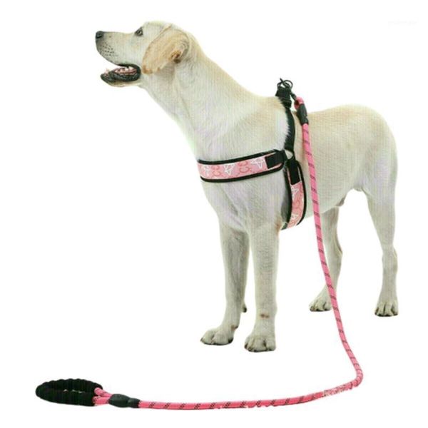 

reflective colorful dog leashes 150cm nylon dog leash rope with comfortable handle for medium large dogs pet collar accessories1