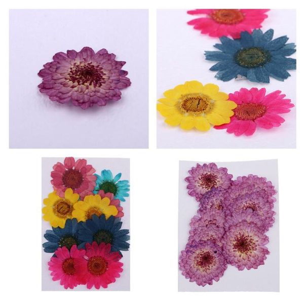 

decorative flowers & wreaths 20pcs beautiful real dried pressed diy scrapbooks phone cover crafts1