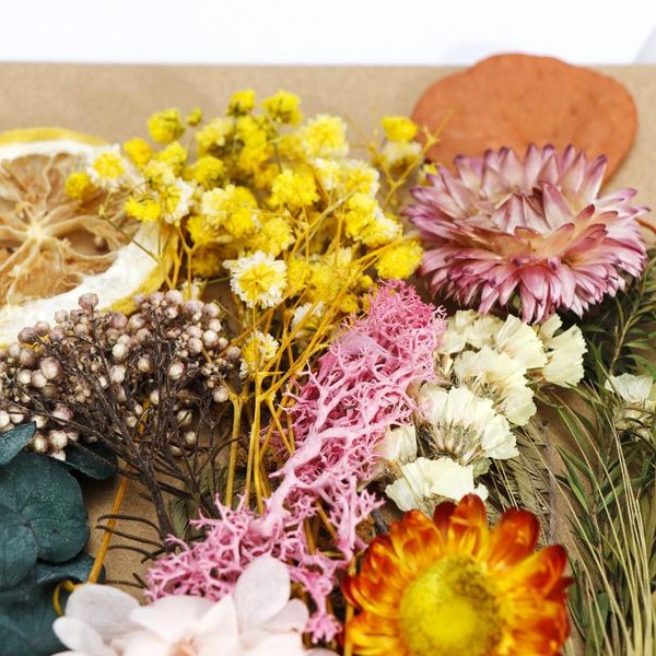 

diy dried flowers resin mold fillings uv expoxy flower for nail art pressed flowers for home decor ha bbyljb