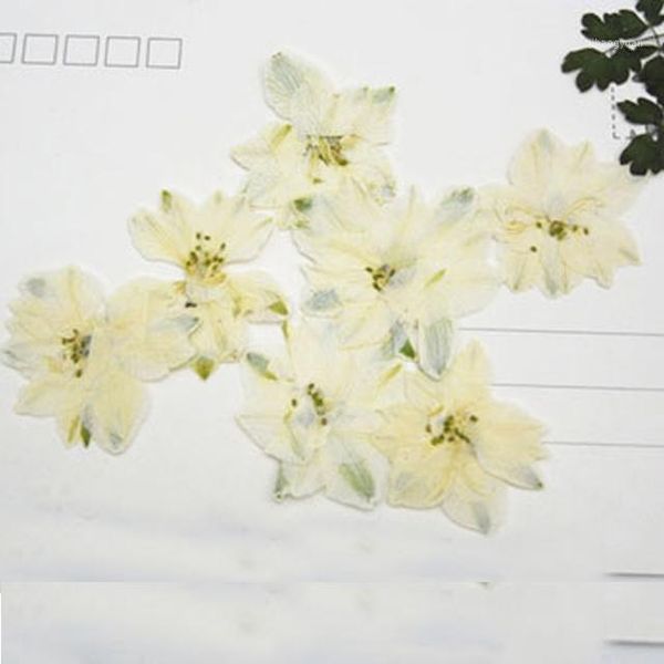 

1000pcs white color larkspur dried pressed flower manufacturers1