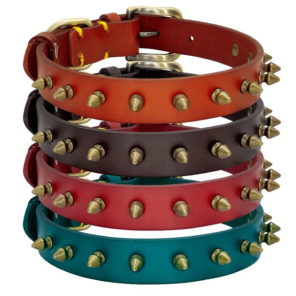 

germany, small, medium, big dog, pet products
