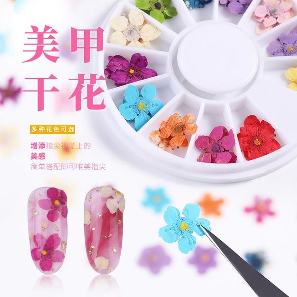 

nail art kits beauty dried flowers fingernail decoration stars sunflower narcissus five faces small flower real 12 color 24