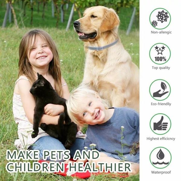 

dog collars & leashes summer anti-insect cat collar anti flea mosquitoes ticks waterproof accessories cute