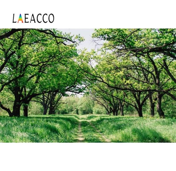 

laeacco spring green tree grass way portrait outdoor scenic pgraphic background pgraphy backdrops pcall p studio
