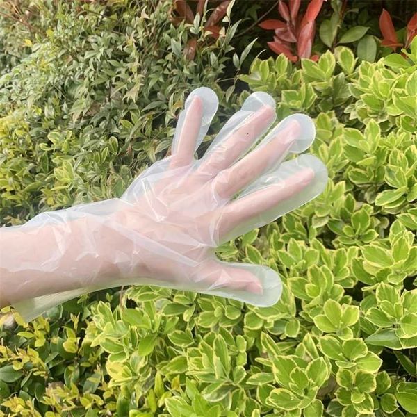 

factoryn45o100pcs disposable plastic glove safy hand