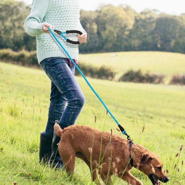 

reflective dog leash nylon pet dog leash rope for small medium large dogs walking training pet sqcrhi